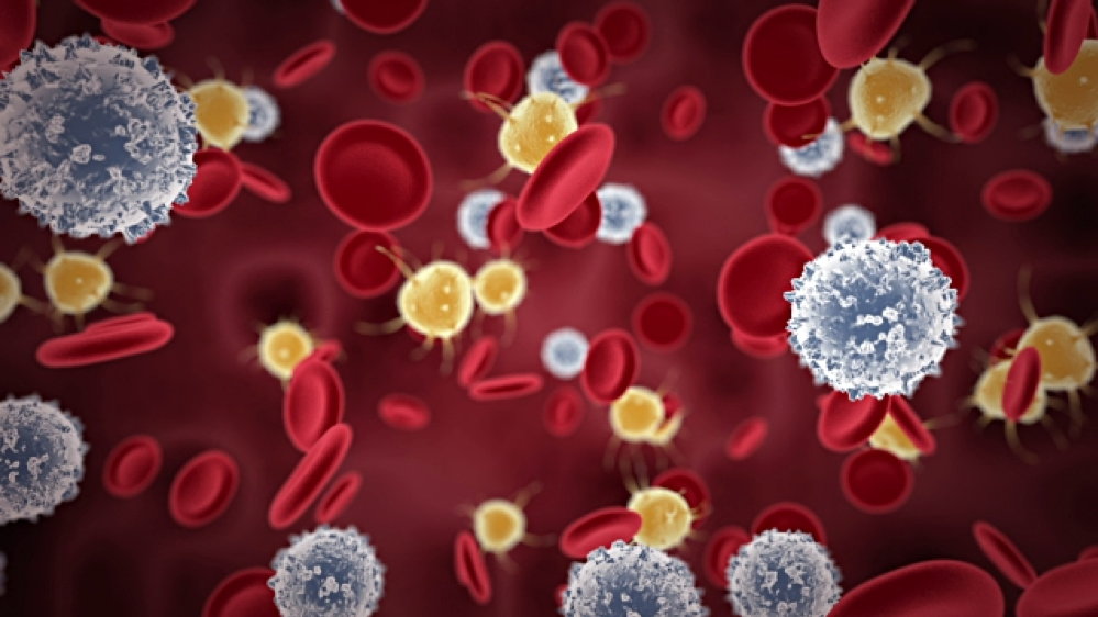 Alla scoperta dell’immuno-metabolismo: quando le cellule immunitarie non ci proteggono solo dalle infezioni