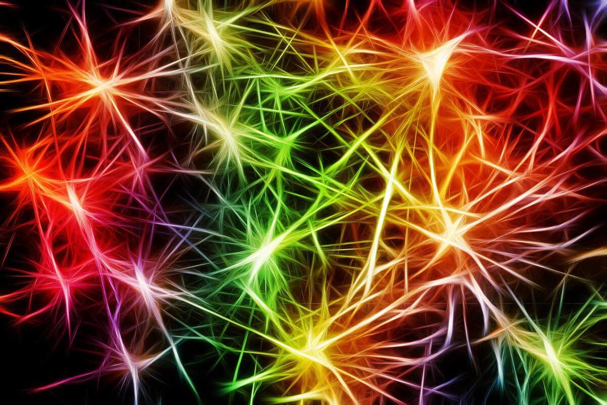 Microglia e ricostruzione della mielina nell’ischemia cerebrale