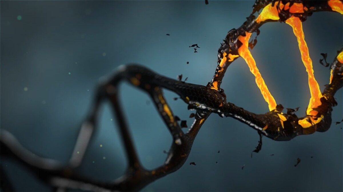 Ambiente e mutazioni del DNA