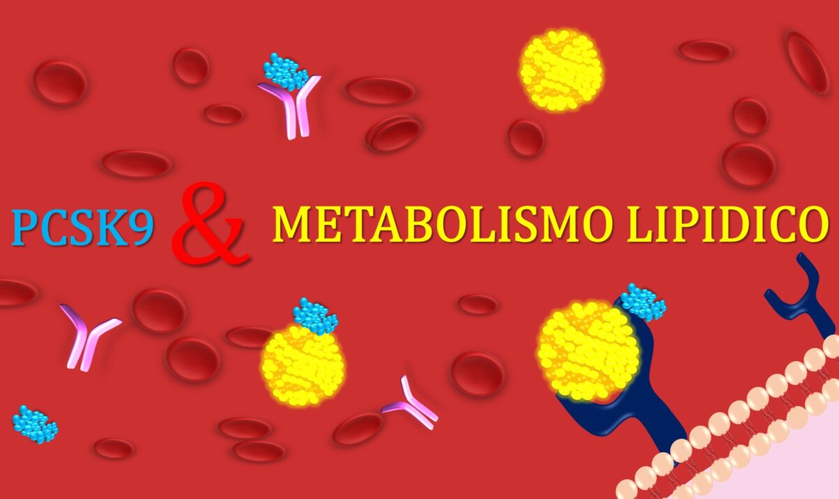 PCSK9 e metabolismo lipidico