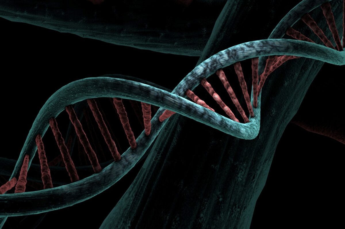 La genetica nella cura della sclerosi laterale amiotrofica (SLA)